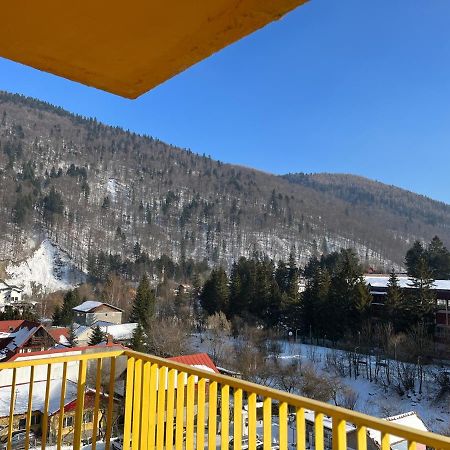 Апартаменти Anissia Apartament Сіная Екстер'єр фото