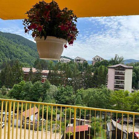 Апартаменти Anissia Apartament Сіная Екстер'єр фото
