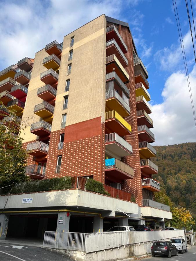 Апартаменти Anissia Apartament Сіная Екстер'єр фото