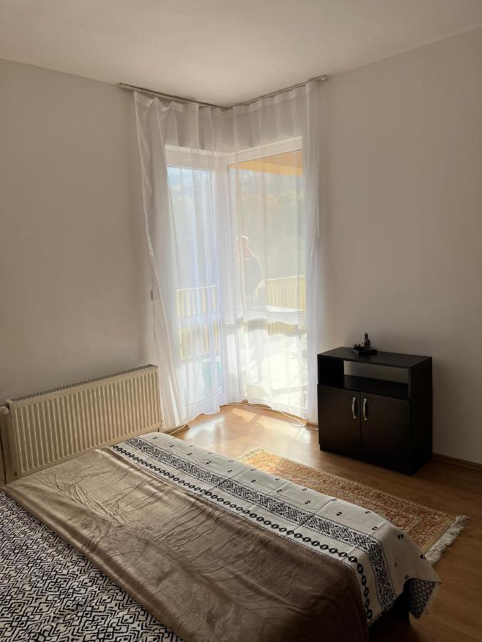 Апартаменти Anissia Apartament Сіная Екстер'єр фото
