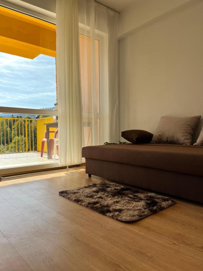 Апартаменти Anissia Apartament Сіная Екстер'єр фото