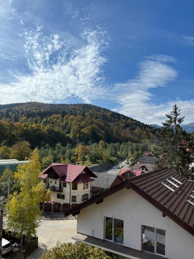 Апартаменти Anissia Apartament Сіная Екстер'єр фото