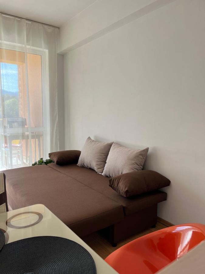 Апартаменти Anissia Apartament Сіная Екстер'єр фото