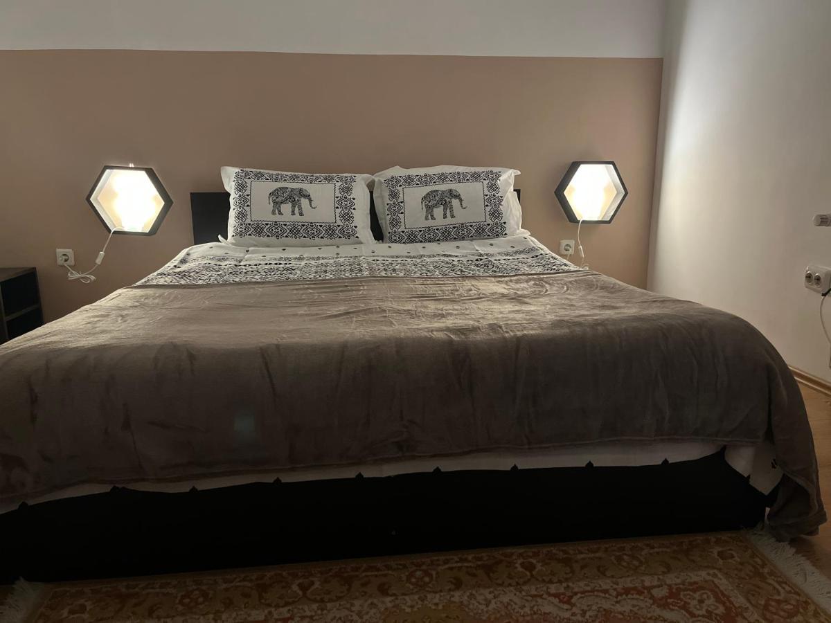 Апартаменти Anissia Apartament Сіная Екстер'єр фото