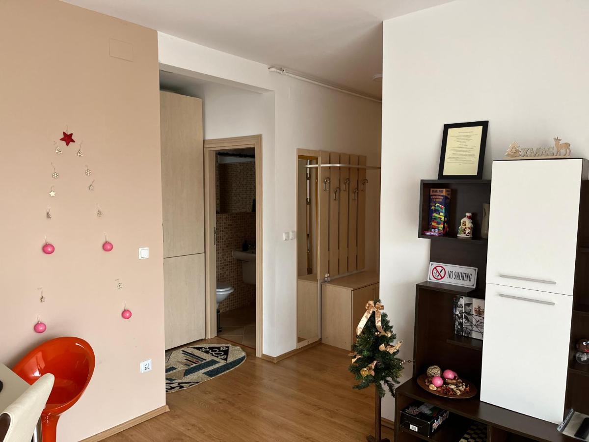 Апартаменти Anissia Apartament Сіная Екстер'єр фото
