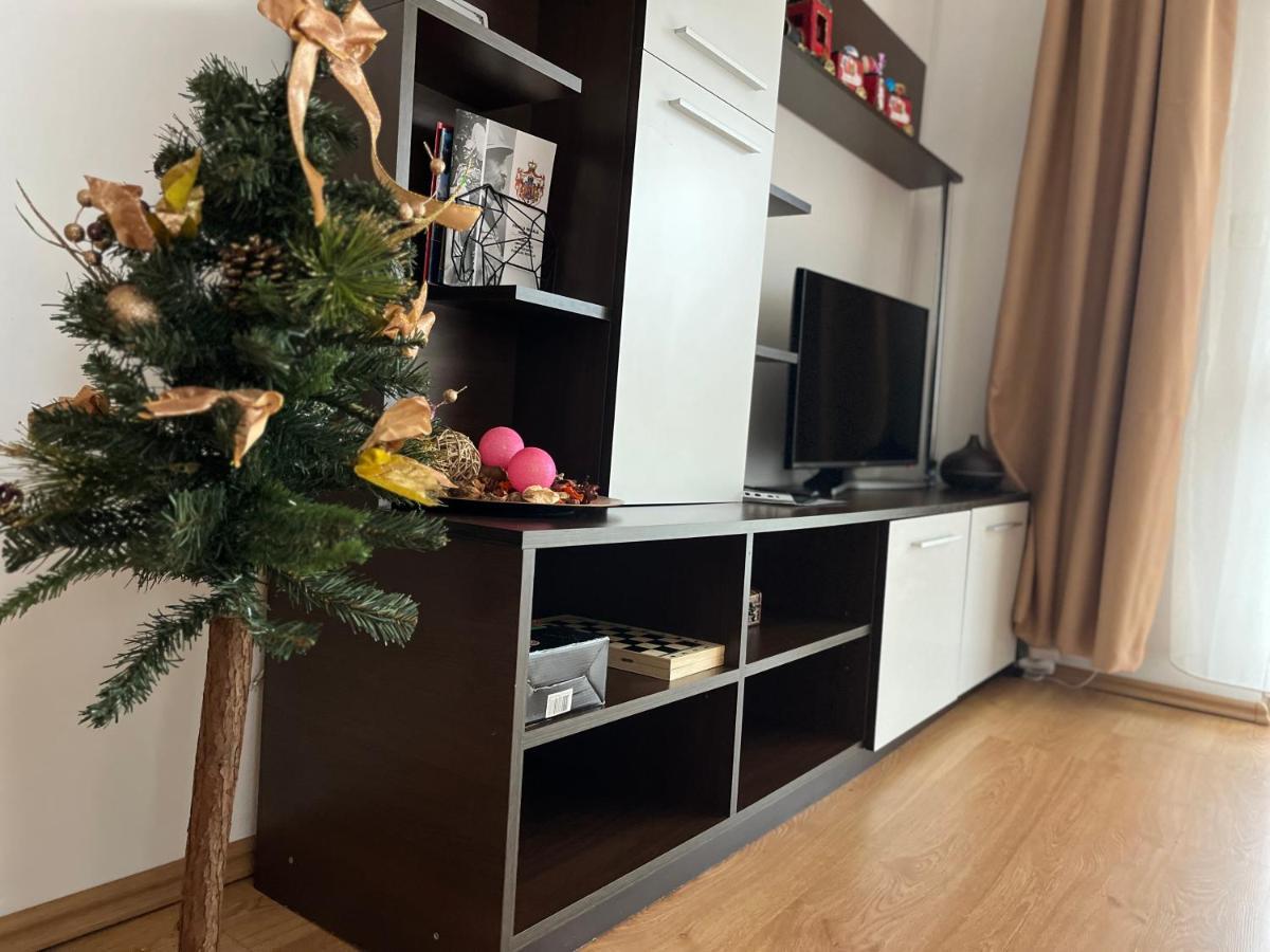 Апартаменти Anissia Apartament Сіная Екстер'єр фото