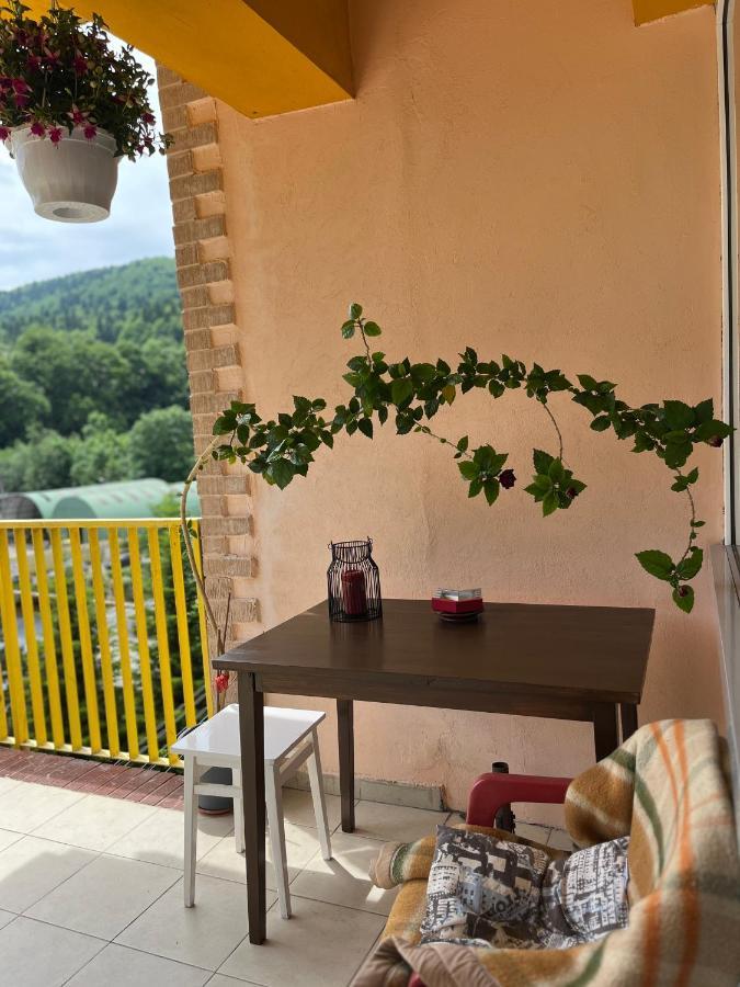 Апартаменти Anissia Apartament Сіная Екстер'єр фото