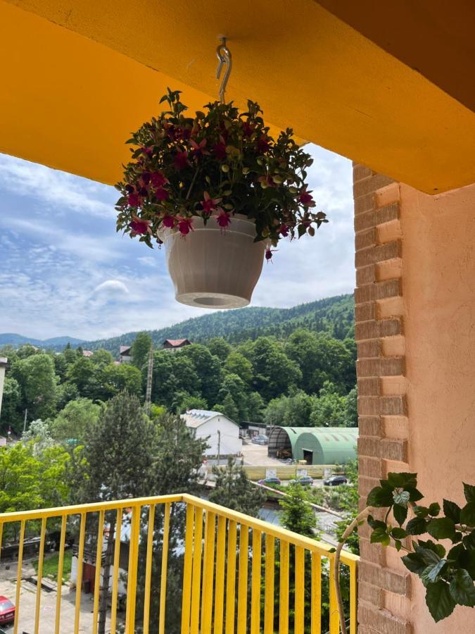 Апартаменти Anissia Apartament Сіная Екстер'єр фото